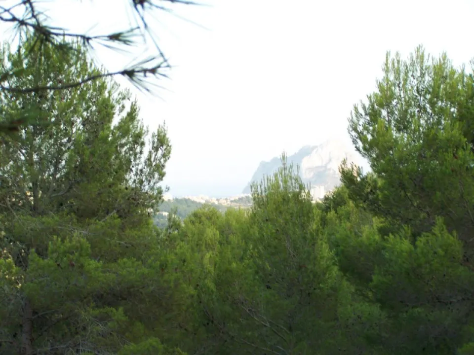 Venta. Parcela rústica en Benissa
