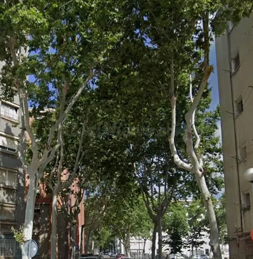 PISO EN BADALONA
