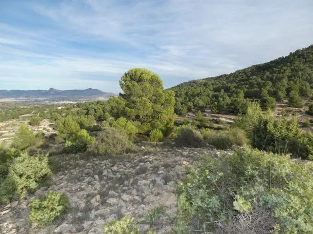 Parcela de 10.041m2 en Monovar - Collado Victoriano — 10