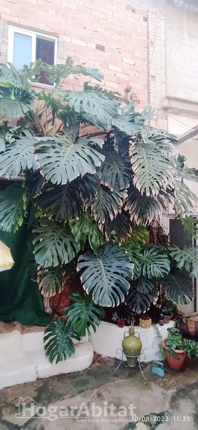 AMPLIA CASA CON MUCHA POSIBILIDAD Y TERRAZA — 46
