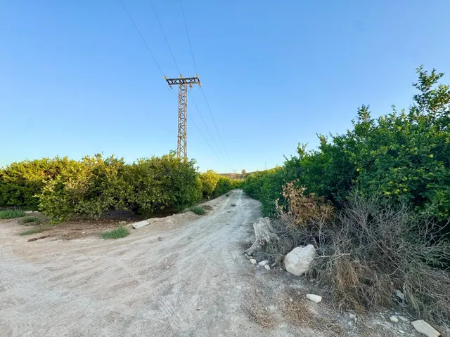 TERRENO RÚSTICO EN VENTA A TAN SOLO 5 MIN DE ORIHUELA CON PL - foto 3