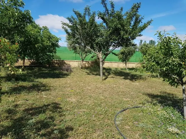 Urbis te ofrece una casa con terreno en venta en Aldehuela de Yeltes, Salamanca. — 6