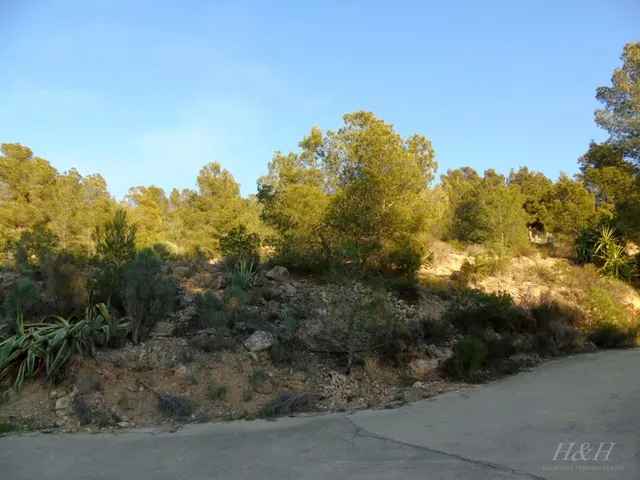 Se vende terreno urbanizable en Olocau. /H H Asesores, Inmobiliaria en Burjassot/ — 8