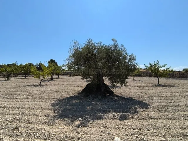 Parcela en venta - Comunidad valenciana