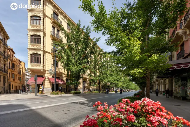 EXCLUSIVA ULTIMA PLANTA CON VISTAS EN GRAN VIA — 35