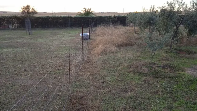 Bonita y cuadrada parcela en Sierra de Fuentes. - foto 3