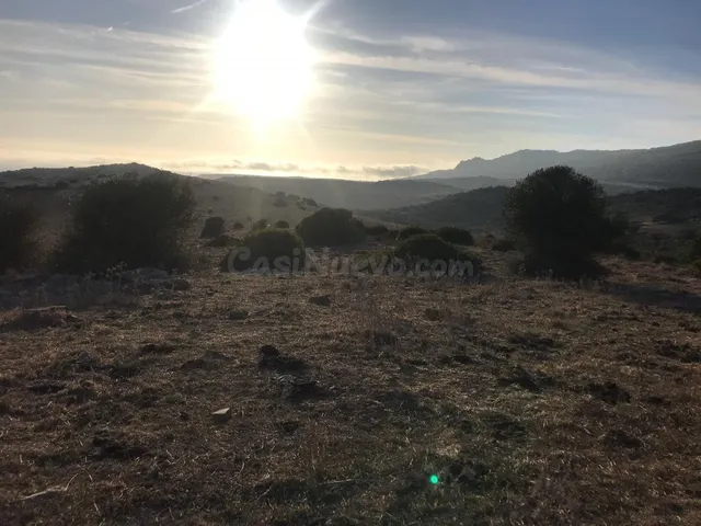 Se vende parcela en Bolonia - foto 2