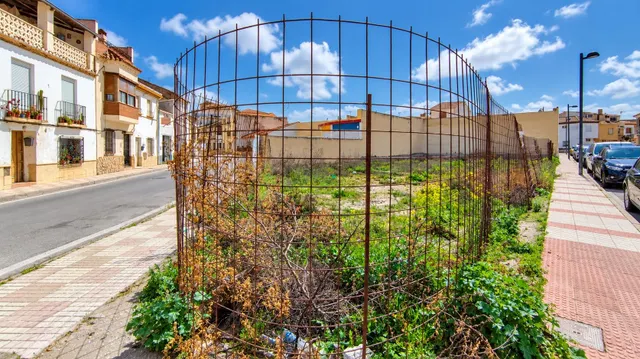 ULTIMO SOLAR DE 203,05 M2 POR 56.000€, Chauchina, Granada — 4