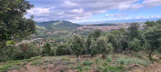 Terreno situado en Sant Feliu del Racó — 3