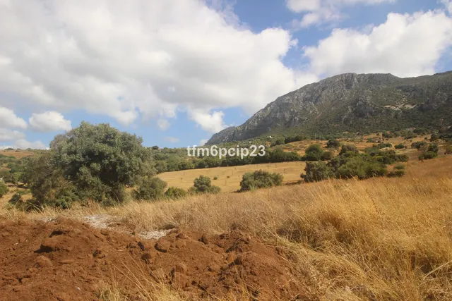 Finca rústica de 37.570 m² en Casares, Costa del Sol — 8