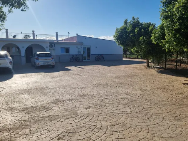 Finca rustica el pintado, Gibraleón — 42