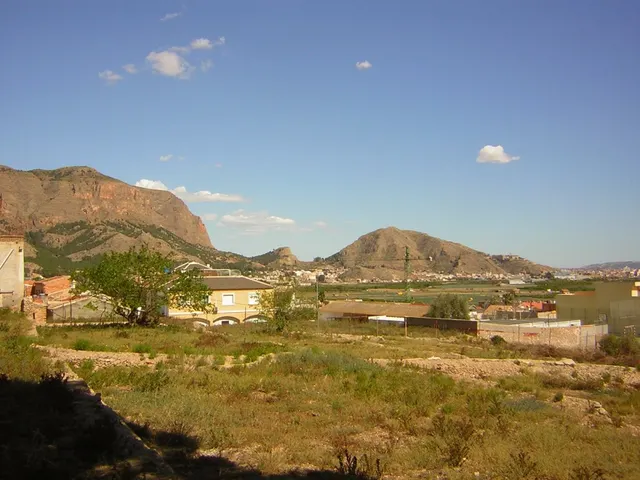 Finca de 12.441 m2 en Orihuela suelo urbano y rustico con preciosa casa y suministros — 3