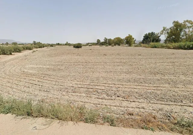 PARCELA DE REGADÍO PARA CULTIVO DE HORTALIZA Y FRUTÍCOLA.. — 3