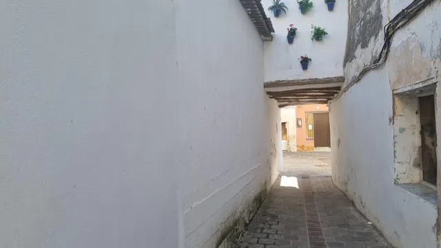 Casa en venta en Calle Ocho Esquinas. Gelsa — 8