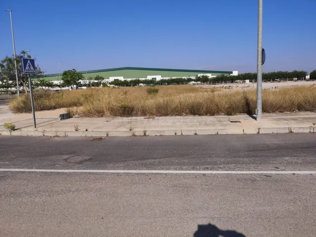 SUELO INDUSTRIAL EN DOLORES DE ALICANTE — 4
