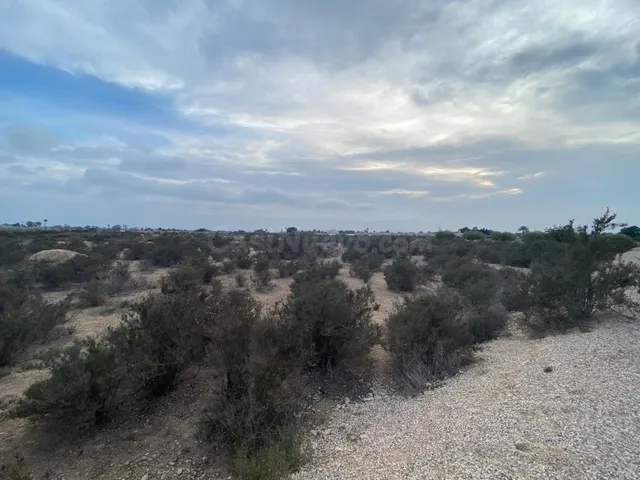 Amplia Parcela en Elche - Zona Matola con Vistas Despejadas - foto 4