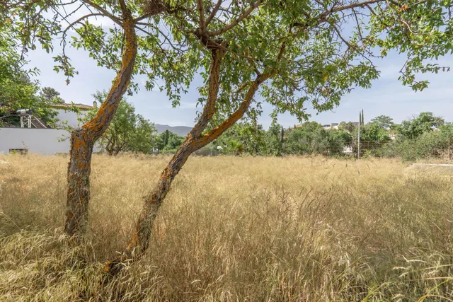 Terreno en Cortijo de la Luz ¡Tu futuro empieza aquí! — 19