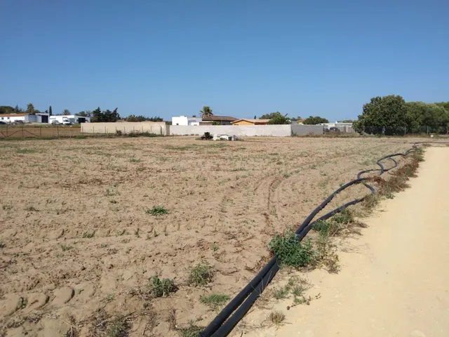 PARCELA INDIVISA DE 3.000M2 EN PAGO DE HUMO - foto 5