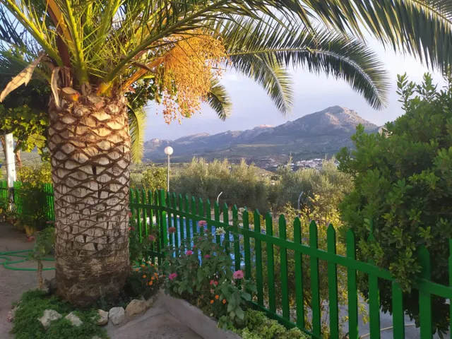 CORTIJO CON GRAN PRODUCCIÓN ACEITUNERA EN 5,5 Ha. — 5