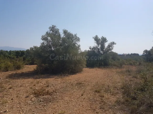 Bonita finca con vistas al mar, ideal para construir una viv - foto 3