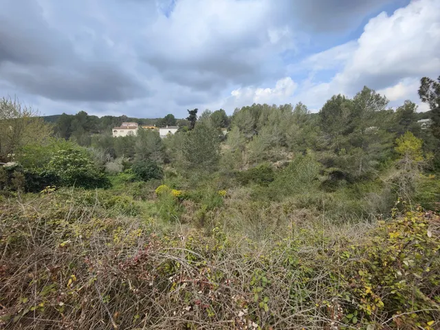 Terreno ideal en La Bisbal del Penedès — 6