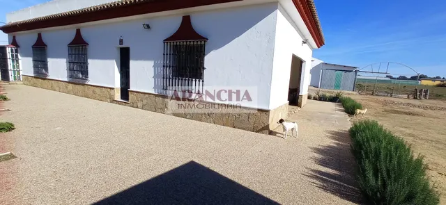 Chalet de 200m y dos naves en parcela de 6700 — 19