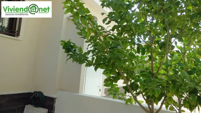 PRECIOSO DUPLEX EN URBANIZAC.CON PISCINAS Y JARDINES — 24