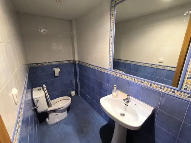 Local comercial 6 habitaciones 250m² en venta - Ayuntamiento — 7