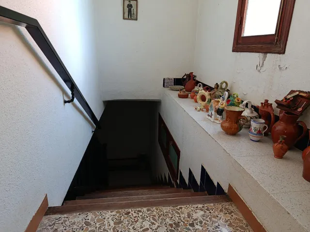 CASA DE CAMPO CERCA DE ELCHE — 47