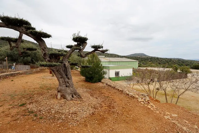 HELIPUERTO EN VENTA EQUIPADO Y CON VIVIENDA EN AMPOSTA, CONEXIÓN CON A7 Y N340 — 19
