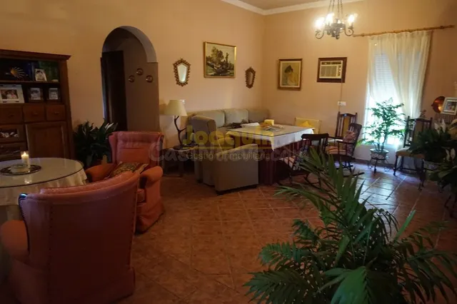 ESTUPENDA PARCELA CON DOS MAGNIFICAS CASAS EN SIETE FINCAS . - foto 5