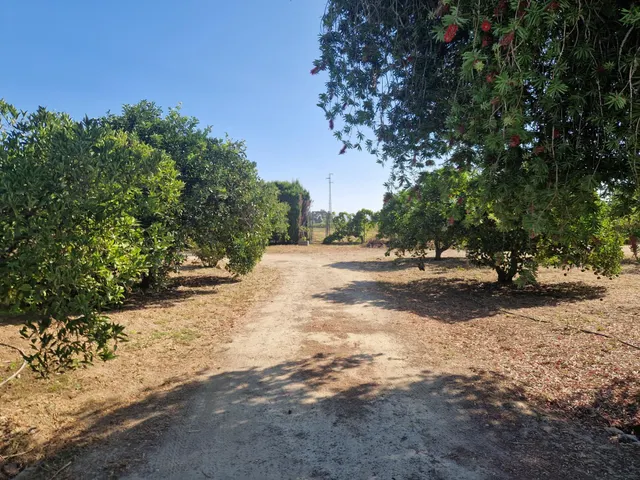 Finca rústica con dos viviendas, piscina y 56.000 m2 de tierras de regadío a 10 minutos de Jerez — 28