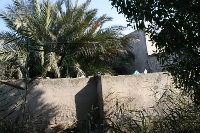 Terreno de 385 m2. en Orihuela zona de Correntías Medias. — 9