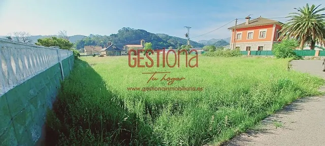 TERRENO URBANO EN NAVAJEDA. ENTRAMBASAGUAS — 9