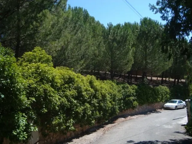 Parcela urbana de esquina en el centro de Loranca de Tajuña — 4