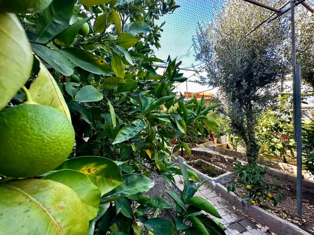 Casa ubicada en el Rincón bajo de Tejeda — 38
