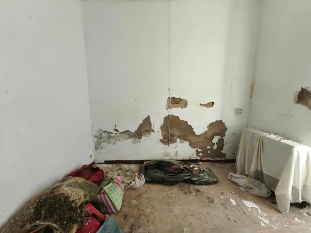 Casa para reformar en El Carpio, a escasos metros del centro! — 15