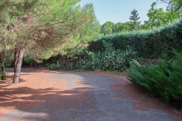 Exclusiva finca rústica con vivienda, piscina, zonas ajardin - foto 5