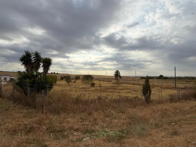 ¡Ocasión en Trigueros! Finca rústica totalmente legalizada con excelente acceso y gran tranquilidad — 7