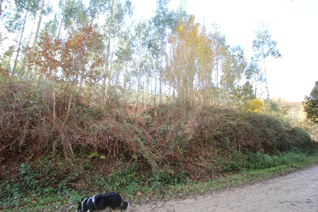 CABAÑA INDEPENDIENTE CON TERRENO EN RUENTE — 9
