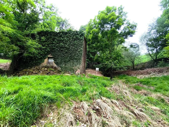 CABAÑA EN VILLACARRIEDO CON 11.658M DE TERRENO - foto 4