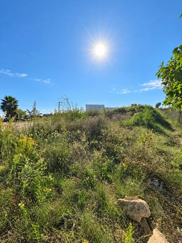 Finca rústica de 6.705 m2 en la zona de els ullals de baltasar, Amposta — 10