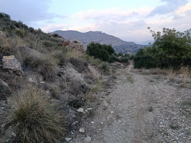 Parcela en venta - Alora pueblo — 20
