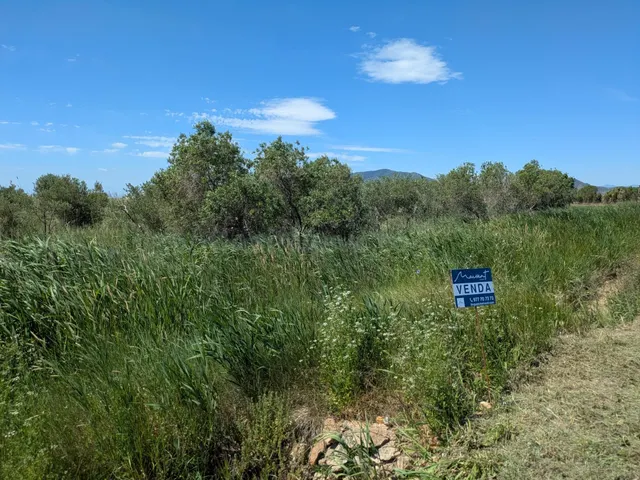FINCA REGADÍO DE OLIVOS EN DELTA DEL EBRO - foto 4