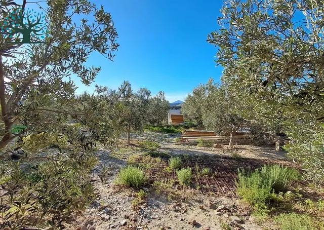 CASA DE CAMPO EN EL GARROBO EN CONSTRUCCIÓN — 29