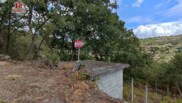 FINCA RUSTICA CON GALPON EN LA ZONA DE CASTRO DE BEIRO (AMOE - foto 2