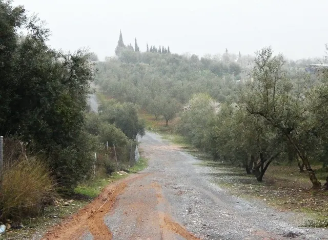 Finca rústica en Peligros – Excelente ubicación y acceso — 16