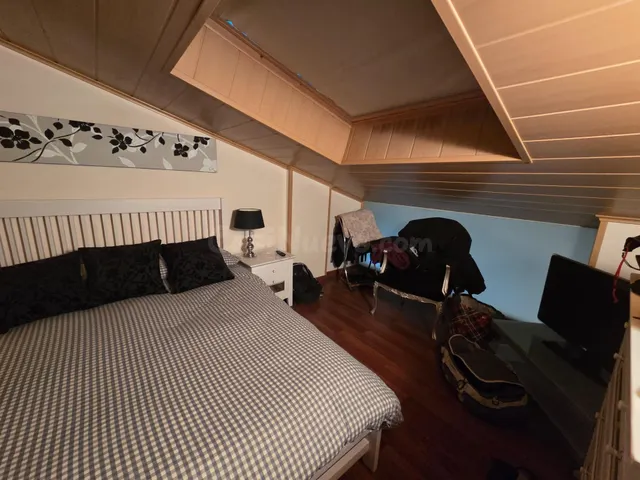 Atico duplex de 4 habitaciones en el Pas de la Casa - foto 3