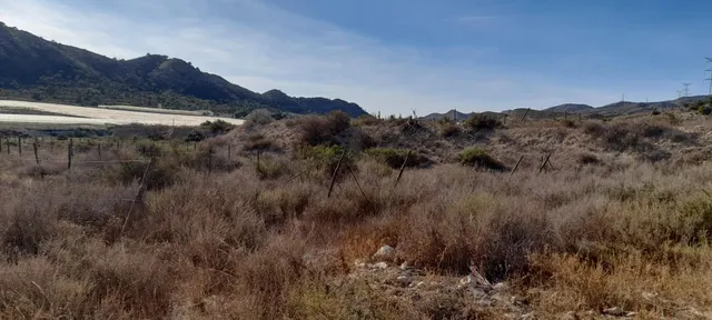 PARCELA 30.000 METROS DE TERRENO — 12