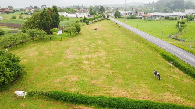 Terreno urbanizable en Pruvia para 4 viviendas unifamiliares - foto 3
